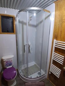 Una ducha en un baño con un inodoro morado. en Cabaña Aquiles, en Puerto Natales 5 fotos más