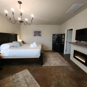 a bedroom with a bed and a fireplace at Fredericksburg Stay W Patio, Fire Pit & Hot Tub in Fredericksburg
