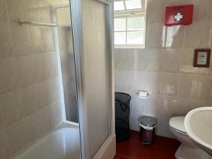 a bathroom with a shower and a toilet and a sink at Quinta do Monte Santo in Vila do Porto