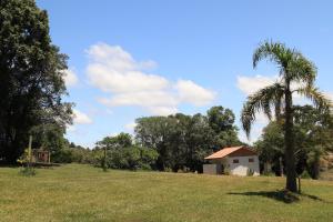 a palm tree and a building in a field at Cachoeira da Mariquinha Ecoturismo in Ponta Grossa