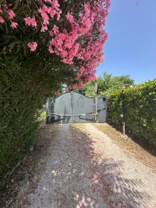 Gallery image of Soulmondo - BnB Dalì in Termoli