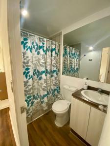 a bathroom with a toilet and a sink at Departamento en Pucón in Pucón