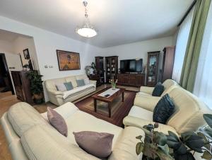 a living room with two couches and a tv at Holiday home in Siofok - Balaton 19950 in Siófok