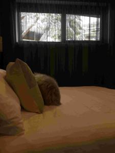 Ένα ή περισσότερα κρεβάτια σε δωμάτιο στο Konayuki Apartment 7 +2 φωτογραφίες
