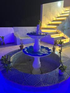 Gallery image of Maison sidi bou in Rafrāf