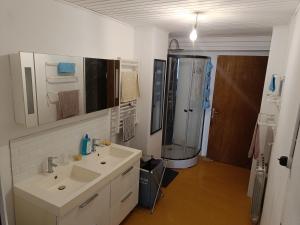 a bathroom with a sink and a shower at Maison Ancienne Albies in Albiès