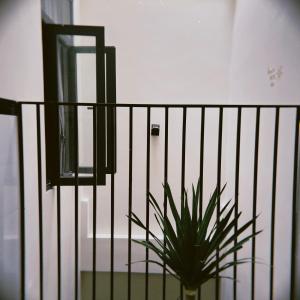 Gallery image of TRI'S Homestay in Quy Nhon