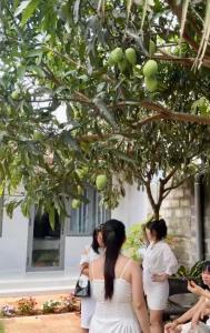 入住Homestay Buôn Mê 4的客人