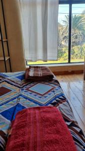 a bed with two pillows and a window in a room at MotoHouse-Tl in Trenque Lauquen