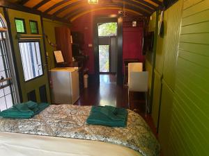 ein Schlafzimmer mit einem Bett in einem Zimmer mit grünen Wänden in der Unterkunft South Terrace Studio - Walk to Everything ! in South Fremantle