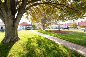a tree in a park with a sidewalk at Magnolia on Colville - Historic Riverside Elegance in Hobart