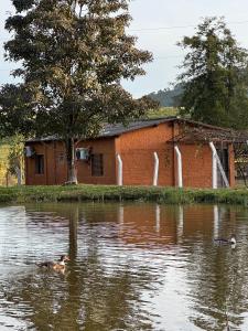 a building in the middle of a body of water at Pousada Recanto Das Gerais in Carmo do Rio Claro
