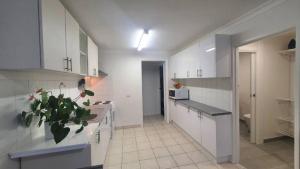 a large kitchen with white cabinets and a potted plant at Southern Cross Apartment 1 in Falls Creek