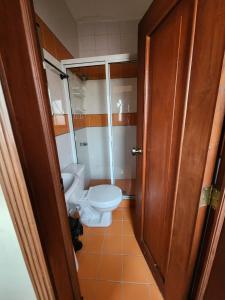 サンミゲルにあるCasa Grandeのトイレとシャワー付きのバスルーム