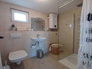 ein Badezimmer mit Toilette, Waschbecken und Dusche in der Unterkunft Beachfront Apartment with Balcony and Sea View in Vrsi