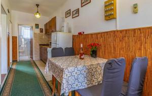 Η κουζίνα ή μικρή κουζίνα στο Awesome Apartment In Liznjan With Wifi