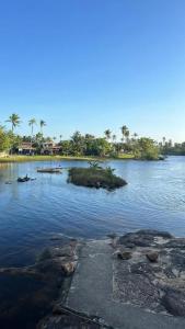 a large body of water with palm trees in it at Canto da Jandaia Imbassaí in Imbassai