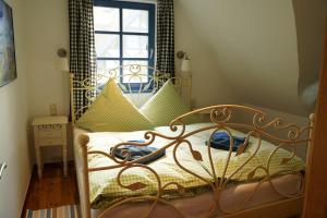 a bedroom with a metal bed with a window at Landhaus 2 Stettinerhaff in Dargen