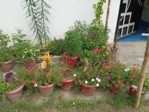 Κήπος έξω από το Atithi home stay and Cloud Kitchen
