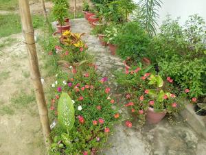 Κήπος έξω από το Atithi home stay and Cloud Kitchen