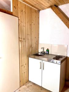 a kitchen with a sink and a white refrigerator at Appartment Susi 