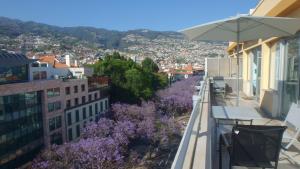 Gallery image of Arriaga apartment in Funchal