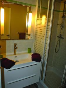 a bathroom with a sink and a shower with a mirror at CoCoKreyol - " GRENADINE " in Les Trois-Îlets