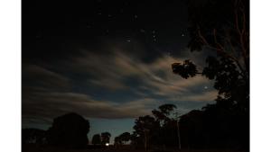 Galeri foto Tiny Al'Molokai by Tiny Away di Bundaberg