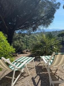 Naturlandskabet i nærheden af feriehuset