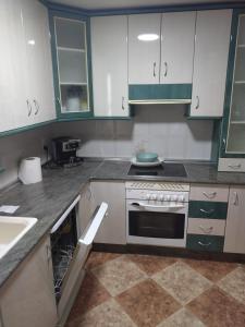 Η κουζίνα ή μικρή κουζίνα στο Apartamento SANTA CLARA 5