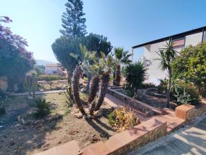 a group of palm trees in front of a house at Case Vacanza Punta Bianca in Agrigento