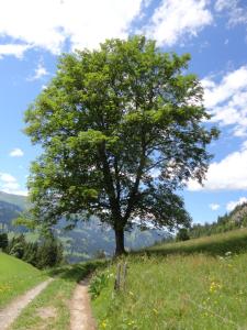 Paesaggio naturale nelle vicinanze dell'appartamento