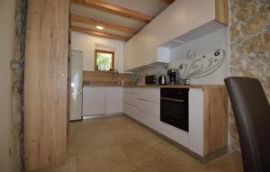 una cucina con armadi bianchi e forno nero di Villa Elefant by Villas Guide a Tribalj