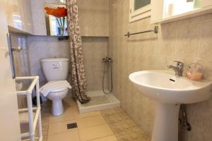 a bathroom with a toilet and a sink and a shower at Mitro Seaview Apartments in Nea Vrasna
