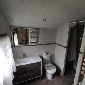 un bagno con un water, un lavandino e uno specchio di Au Marais ad Amiens