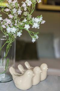 Fotografie z fotogalerie ubytování Villa Frola v destinaci Fossano