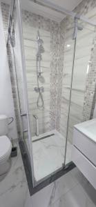 a shower with a glass door in a bathroom at Panorama Budești in Budeşti +27 photos