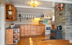 ドローバックにあるAmazing Home In Drøbakのキッチン(木製キャビネット、コンロ付)