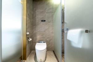 Weiting Hotel Shanghai Xujiahui Stadium Subway Station Branch衛浴