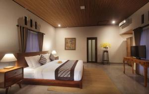 Televisyen dan/atau pusat hiburan di Dhanya Villa Karangasem by Parigata