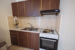 a small kitchen with a stove and a sink at Vrokastro Apartments in Istro
