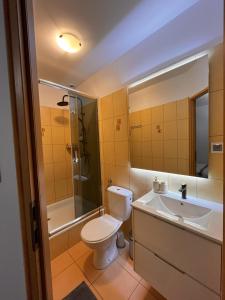 a bathroom with a toilet and a sink and a shower at Antoniówka in Zakopane +29 photos