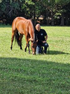 Gallery image of AmareGold Tenuta La Baronessa Resort in Tuglie +108 photos