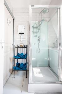 a shower with a glass door in a bathroom at GANZALIESELE in Colmar