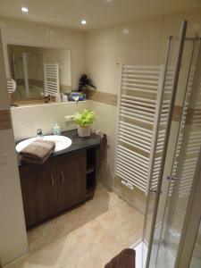 a bathroom with a sink and a shower and a mirror at Gästehaus Koros in Fischen