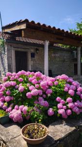 a bunch of pink flowers in front of a building at Rustical Apartment in Korčula
