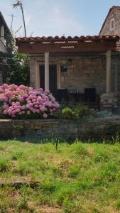 a bunch of pink flowers in front of a building at Rustical Apartment in Korčula +52 photos