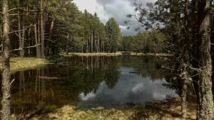 a lake in the middle of a forest at Ático con chimenea en Bronchales in Bronchales