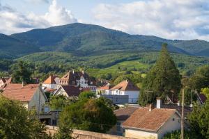 a town with houses and mountains in the background at Grand duplex en plein centre in Cernay