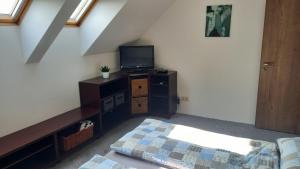 Televízia a/alebo spoločenská miestnosť v ubytovaní Apartmány 27